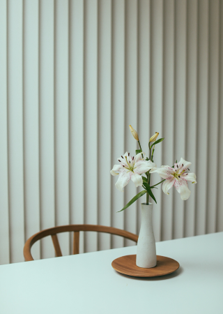 Vertical-Blinds-7