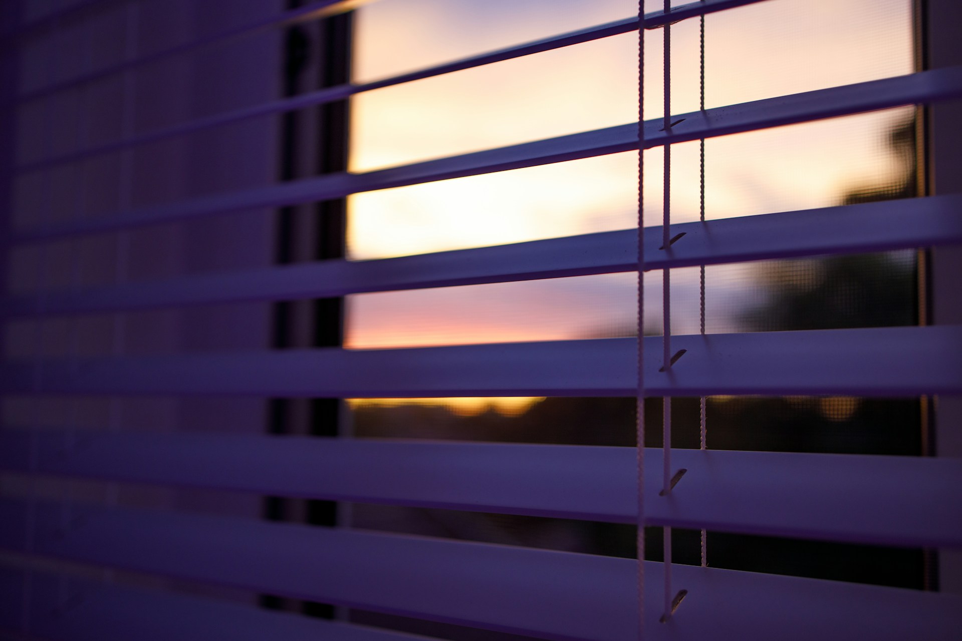 How to Choose the Right Colour Blinds